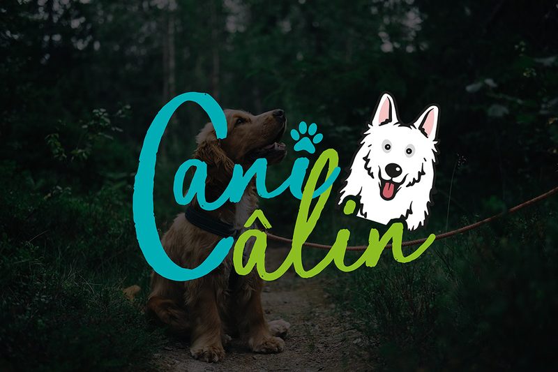 Création du logo CaniCâlin, médiation animale